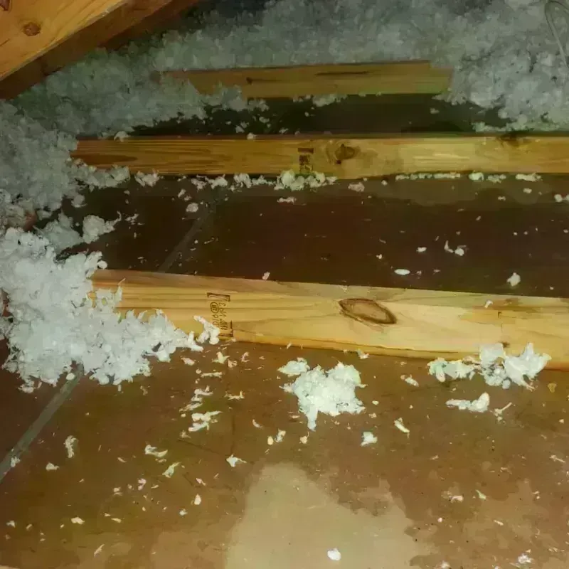 Attic Water Damage in Monroe County, KY